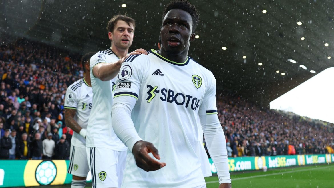 Leeds: £3.8m Star Wilfried Gnonto Picks Up Injury